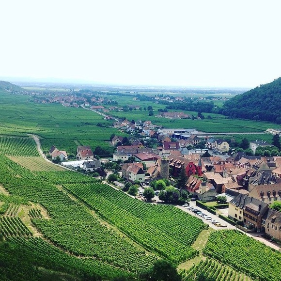 FRANCOPHILE & FASHIONISTA - Picture 9 of 13